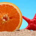¿QUÉ COMO PARA TOMAR EL SOL?