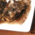 Rabo de Toro