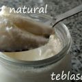 YOGURT NATURAL CON YOGURTERA