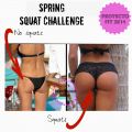 Proyecto Fit 2014: Spring Squat Challenge