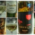 D'Arvelos, una ventana al Atlántico