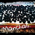 TARTA DE MORAS