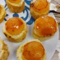 PIONONOS DE SANTA FE