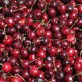 ALIMENTOS DE TEMPORADA.