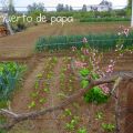 El huerto de mi padre.