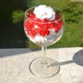 Mousse de queso y yogur con granada