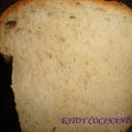 PAN DE MOLDE DE RICHARD BERTINET