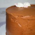 Devil´s Food Cake sin gluten