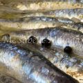 Sardinas en cazuela