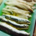 En busca del boquerón perfecto - Parte II