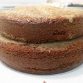 BIZCOCHO DE CANELA CON PURÉ DE MANZANA