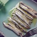En busca del boquerón perfecto - Parte VI