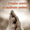 Odio