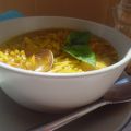 Sopa pleguera