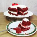 335   PASTEL RED VELVET