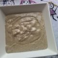 SALSA DE BOLETUS PARA CARNE