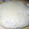 MASA PIZZA NAPOLITANA