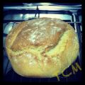 Pan (en bolsa de asar)