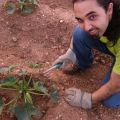 Mi huertito ecológico.