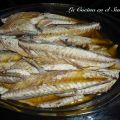 CABALLAS EN ACEITE DE OLIVA VIRGEN