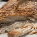 IJADA O VENTRESCA DE ATÚN (O BONITO) AL HORNO