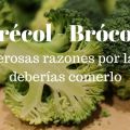 Brécol - Brócoli. 5 razones de peso por las que[...]