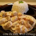 STROGONOFF DE PAVO