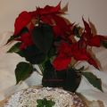 Postre: Cheescake de turrón de Jijona
