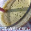 ❁ Zumo Salvaje de Rúcula ❁