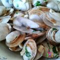 COQUINAS AL AJILLO