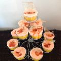 Cupcakes sangrantes de calabaza y chocolate