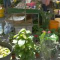 LA PLAZA DE ABASTOS DE SANLÚCAR (1ª PARTE)
