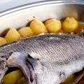 CHOPA a la SIDRA (SARGO)