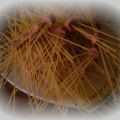 spaguettis ensalchichados ( con imaginación)