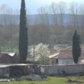 ROSCÓN DE PASCUA
