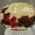 CHUPITO  DE CHOCOLATE BLANCO CON FRUTOS ROJOS
