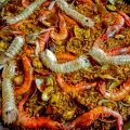 ARROZ DE MARISCO AL ENELDO/ SEAFOOD RICE TO[...]