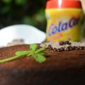 Cómo hacer un rico bizcocho de Colacao