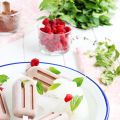 Polos de chocolate / Chocolate popsicles
