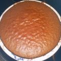 BIZCOCHO PARA BASE DE TARTA DE COLA CAO