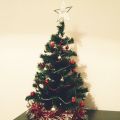 Peppa Tree!!!!! Nuestra árbol ya está aquí!!