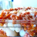 Albóndigas en salsa de verduras