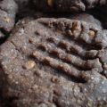 Galletas de crema de cacahuete con chocolate