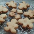 Galletas sin huevo