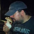 DELICIA HONGOS BOLETUS REBOZADOS (Porcini[...]