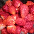 MERMELADA DE FRESA