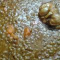 LENTEJAS EN THERMOMIX