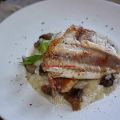 Salmonete con arroz cremoso y shiitake