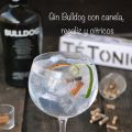 Gin tonic Bulldog