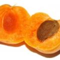MERMELADA DE ALBARICOQUE